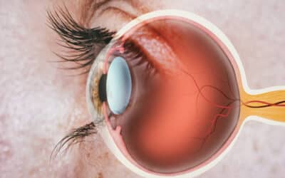 The Ultimate Guide to Choosing the Right Cornea Specialist for You
