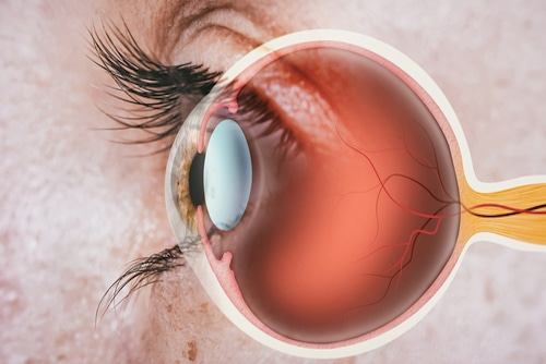 The Ultimate Guide to Choosing the Right Cornea Specialist for You