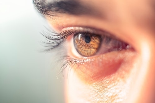 eye doctor